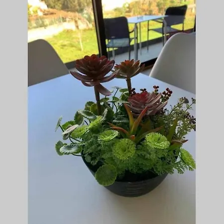 Viana Do Castelo - Village - Casa L - Disfrute Da Natureza * Amonde