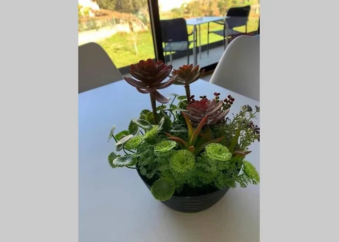 Viana Do Castelo - Village - Casa L - Disfrute Da Natureza * Amonde